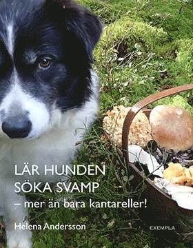 Lr hunden ska svamp - mer n bara kantareller! (hftad)