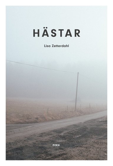 Hästar (pocket)