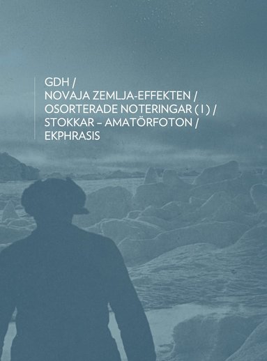 Novaja Zemlja-effekten (pocket)