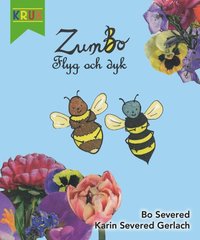 Omslag för ZumBo Flyg och Dyk