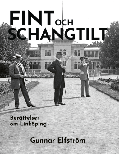 Fint och schangtilt - Berttelser om Linkping (inbunden)