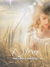 I storm - Erotisk romance-novell (e-bok)