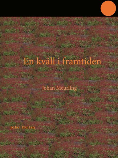 En kv�ll i framtiden (inbunden)