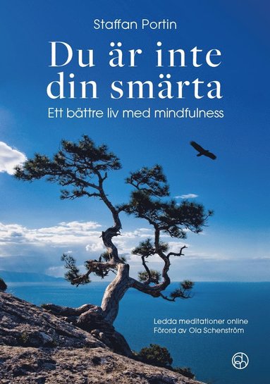 Du �r inte din sm�rta : ett b�ttre liv med mindfulness (inbunden)