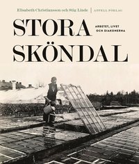 Stora Sköndal : arbetet, livet och diakonerna (inbunden)