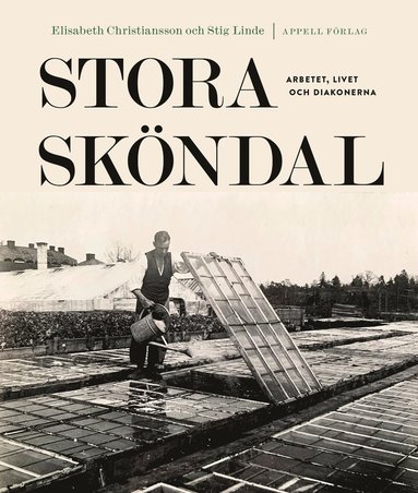 Stora Skndal : arbetet, livet och diakonerna (inbunden)