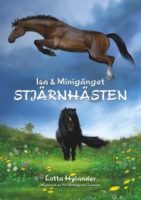 Stjrnhsten (kartonnage)
