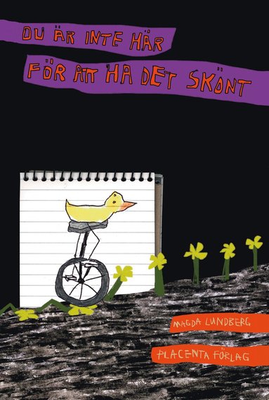 Du r inte hr fr att ha det sknt (inbunden)