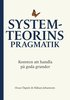 Systemteorins pragmatik : konsten att handla p goda grunder