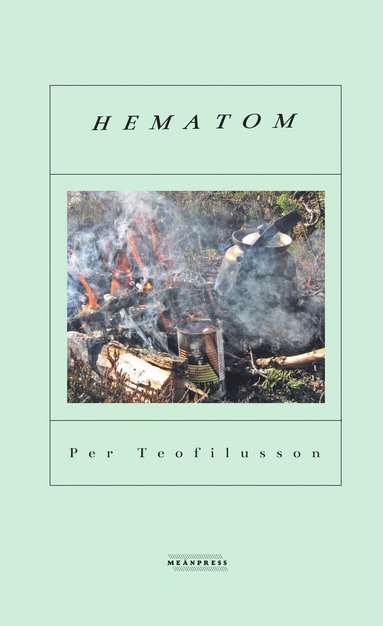Hematom (häftad)