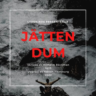 Jtten Dum x5 (inbunden)