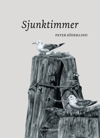 Sjunktimmer (h�ftad)