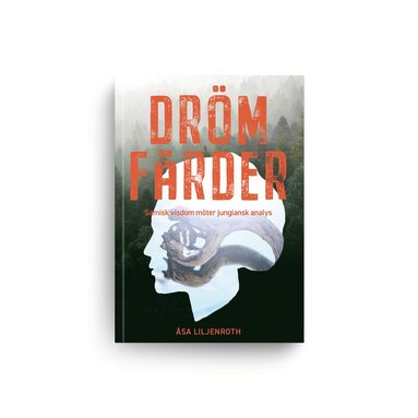 Drmfrder : samisk visdom mter jungiansk analys (inbunden)