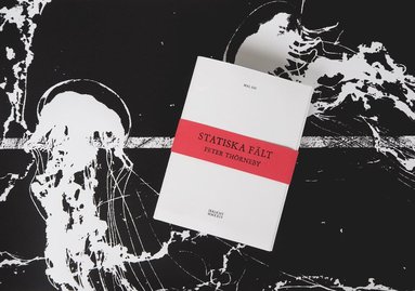 Statiska f�lt (h�ftad)