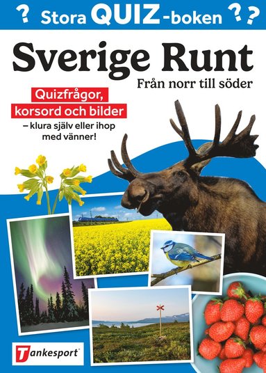 Stora Quizboken Sverige runt : från norr till söder (häftad)