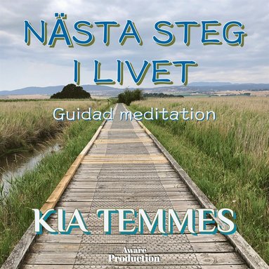 Nsta steg i livet, guidad meditation (e-bok)