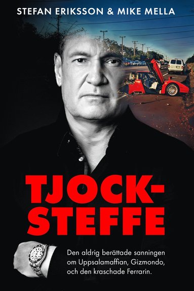 Tjock-Steffe (inbunden)