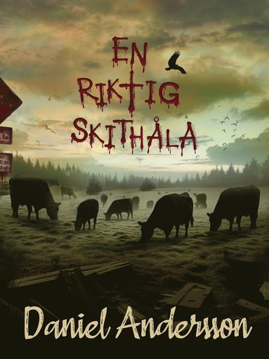 En riktig skithla (e-bok)
