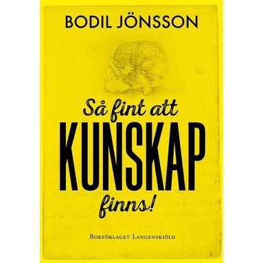 S fint att kunskap finns! (inbunden)