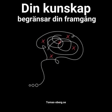 Din kunskap begrnsar din framgng (ljudbok)