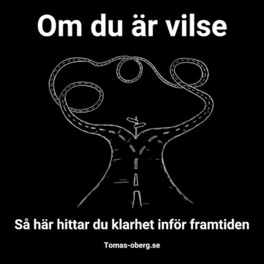 Om du r vilse ? s hr hittar du klarhet infr framtiden (ljudbok)