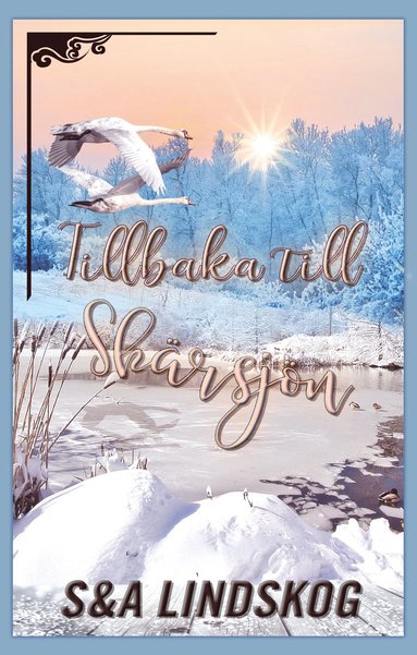 Tillbaka till Skrsjn (pocket)