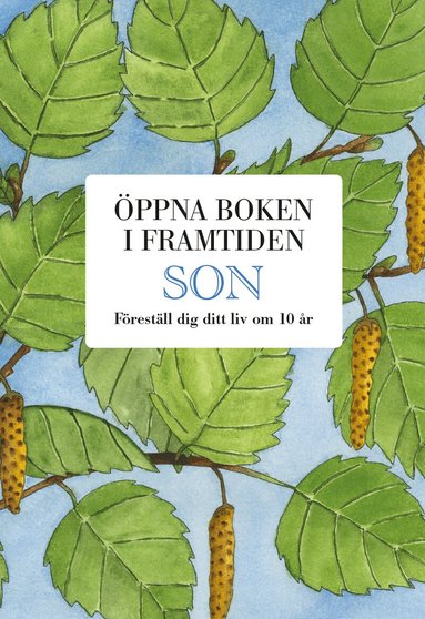 Son : �ppna boken i framtiden (inbunden)