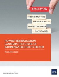 How Better Regulation Can Shape The Future Of Indonesia's Electricity ...