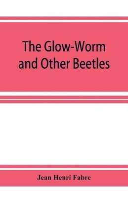 The Glow-Worm and Other Beetles (hftad)