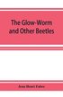 The Glow-Worm and Other Beetles