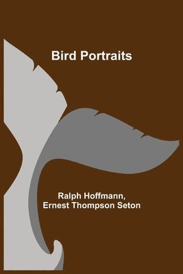 Bird Portraits (hftad)