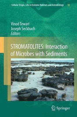 STROMATOLITES: Interaction of Microbes with Sediments (inbunden)