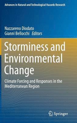 Storminess and Environmental Change (inbunden)
