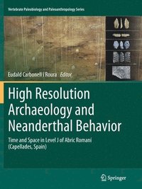 High Resolution Archaeology and Neanderthal Behavior (hftad)