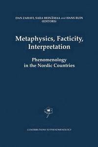 Metaphysics, Facticity, Interpretation (häftad)