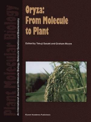 Oryza: From Molecule to Plant (hftad)