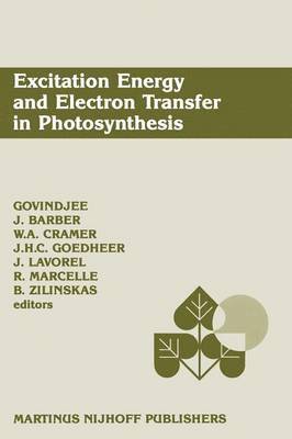 Excitation Energy and Electron Transfer in Photosynthesis (hftad)