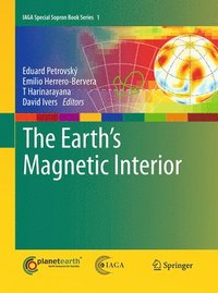 The Earth's Magnetic Interior (hftad)