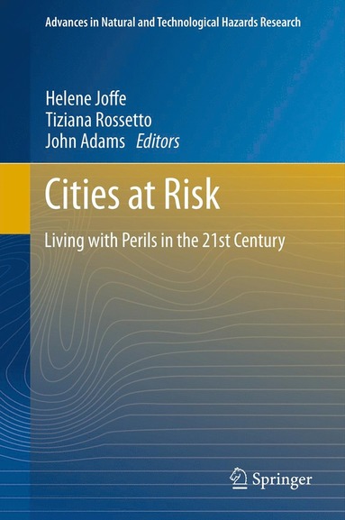 Cities at Risk (häftad)