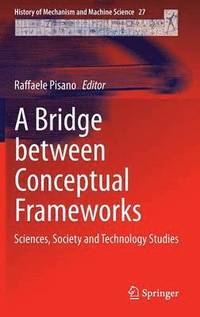 A Bridge between Conceptual Frameworks (inbunden)