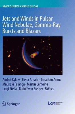 Jets and Winds in Pulsar Wind Nebulae, Gamma-Ray Bursts and Blazars (hftad)