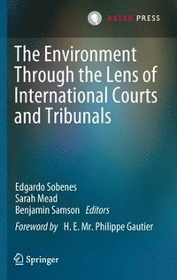 The Environment Through The Lens Of International Courts And Tribunals ...