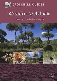 Western Andalucia: I (hftad)