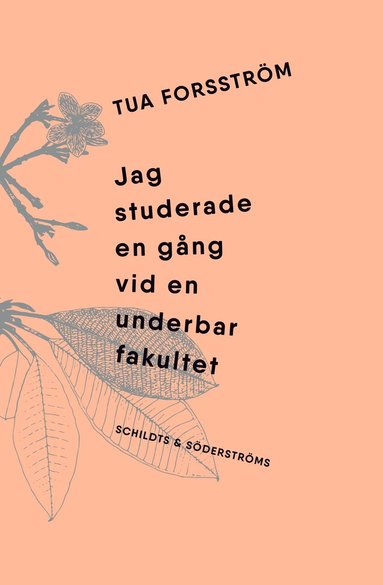 Jag studerade en gng vid en underbar fakultet (hftad)