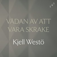 Vdan av att vara Skrake (ljudbok)