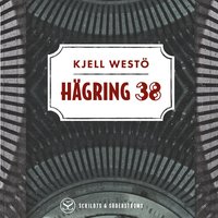 Hägring 38 (ljudbok)