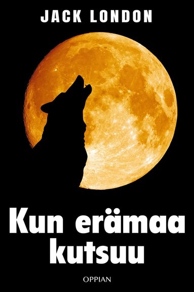 Kun ermaa kutsuu (ljudbok)