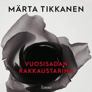 Vuosisadan rakkaustarina (e-bok)