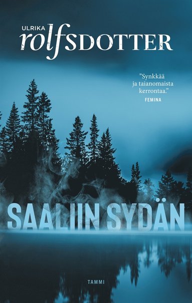 Saaliin sydn (e-bok)