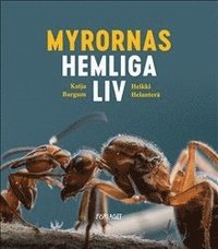 Myrornas hemliga liv (inbunden)